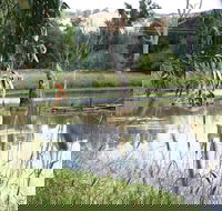 Tumut Wetlands - Tourism Cairns