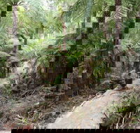 Upper Yarra Reservoir Park - Tourism Cairns