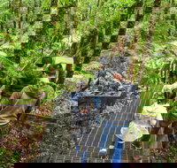 Yarra Ranges National Park - Tourism Cairns