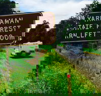 Yarraman - Tourism Cairns