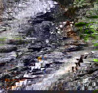 Full-Day Canyoning Experience at Stunning Empress Canyon - Tourism Cairns