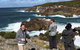 Sapphire Coast Highlights Tour (private Tour From Port Of Eden) - thumb 9