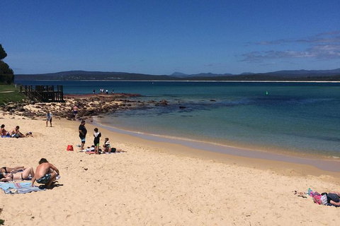 Sapphire Coast Highlights Tour (private Tour From Port Of Eden) - Tourism Cairns 1
