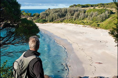 Sapphire Coast Highlights Tour (private Tour From Port Of Eden) - Tourism Cairns 14