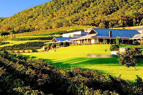 Hunter Express Helicopter Flight - Tourism Cairns 4