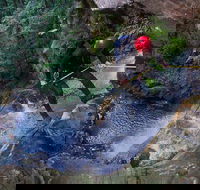 Small-Group Full-Day Canyoning and Abseiling Adventure from Katoomba - Tourism Cairns