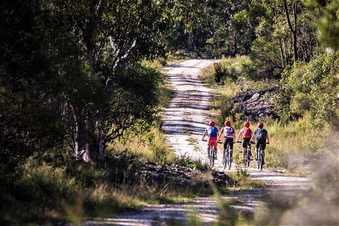 Blue Labyrinth Tour: Sydney Blue Mountains By E-Bike - Tourism Cairns 6