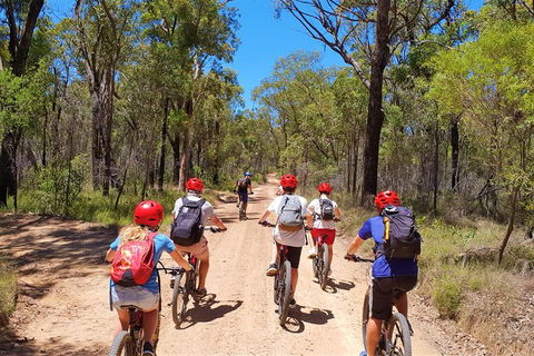 Blue Labyrinth Tour: Sydney Blue Mountains By E-Bike - Tourism Cairns 1