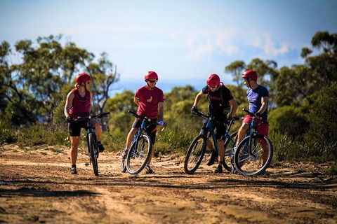 Blue Labyrinth Tour: Sydney Blue Mountains By E-Bike - Tourism Cairns 3