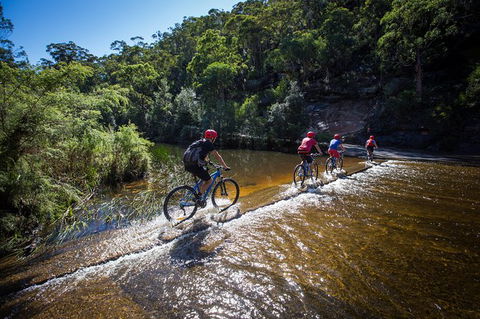 Blue Labyrinth Tour: Sydney Blue Mountains By E-Bike - Tourism Cairns 7