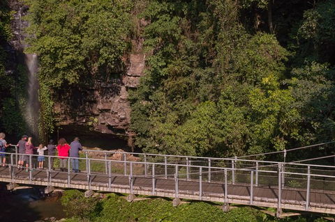 Rainforest & Waterfall Experience - Tourism Cairns 4