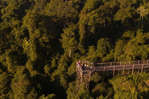 Rainforest & Waterfall Experience - Tourism Cairns 5