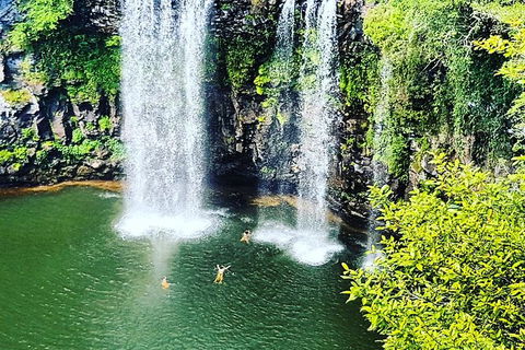 Rainforest & Waterfall Experience - Tourism Cairns 2