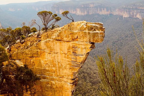 Blue Mountains Hanging Rock SELF-GUIDED Mountain Bike Hire Service - Tourism Cairns 7