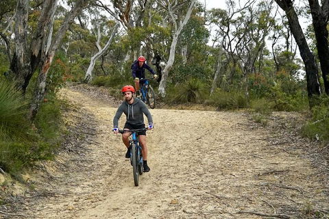 Blue Mountains Hanging Rock SELF-GUIDED Mountain Bike Hire Service - Tourism Cairns 10