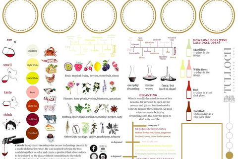 Tulloch Wines- Premium Museum Aged Wine Tasting With Cheese And Charcuterie - Tourism Cairns 10