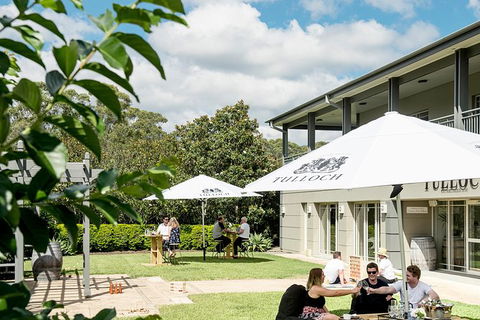 Tulloch Wines- Premium Museum Aged Wine Tasting With Cheese And Charcuterie - Tourism Cairns 7