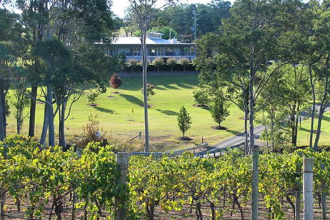 Tulloch Wines- Premium Museum Aged Wine Tasting With Cheese And Charcuterie - Tourism Cairns 5