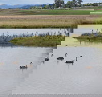 Beardy Waters Dam and Woodlands - Tourism Cairns