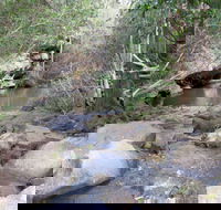 Bomaderry Creek Regional Park - Tourism Cairns