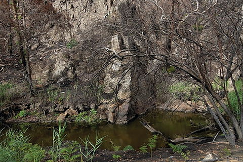 Brisbane Ranges National Park - Tourism Cairns 0