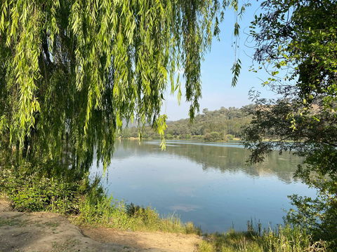 Eildon Pondage Walk - Tourism Cairns 1