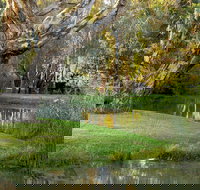 Gateway Island Parklands - Tourism Cairns