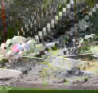 Maroochy Regional Bushland Botanic Garden - Tourism Cairns