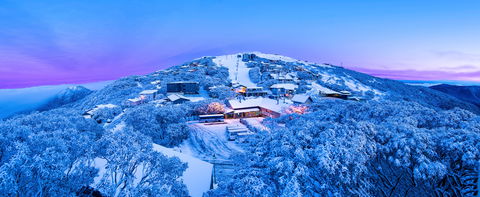 Mt Buller Alpine Resort - Tourism Cairns 0
