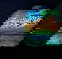 Quorn Silo Light Show - Tourism Cairns