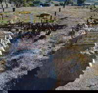 Wangaraleednie Monument  Ruins - Tourism Cairns