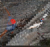 Small-Group Weekend Rock Climbing Adventure from Katoomba - Tourism Cairns