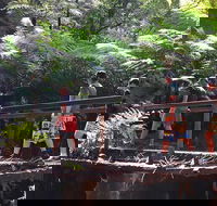 Glow Worm Tunnel Hike - Tourism Cairns