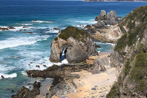 Narooma And Tilba Valley Private Tour - Tourism Cairns 8