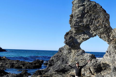 Narooma And Tilba Valley Private Tour - Tourism Cairns 4