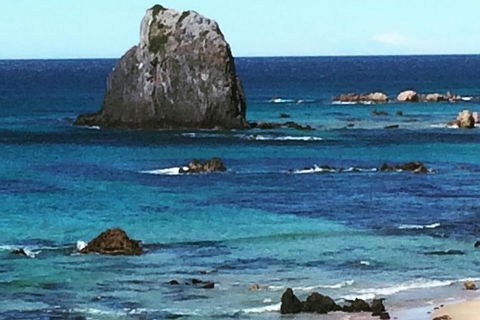 Narooma And Tilba Valley Private Tour - Tourism Cairns 9