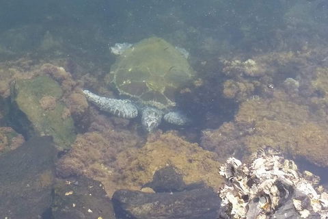 Sawtell To Coffs Harbour Bike Ride - Tourism Cairns 4