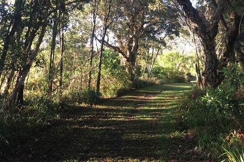 Coffs Harbour To Sawtell Bike Ride - Tourism Cairns 7