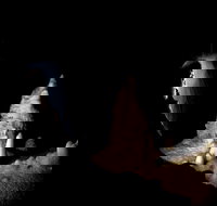 Jenolan Caves Extended Temple of Baal Cave Tour - Tourism Cairns