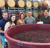 Hunter Valley Small Group Wine Gin Cheese  Chocolate Tour