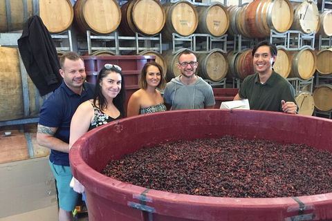 Hunter Valley Small Group Wine, Gin, Cheese & Chocolate Tour - Tourism Cairns 0