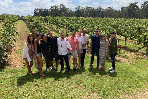 Hunter Valley Exclusive Kangaroo And Wine Tasting Experience - Tourism Cairns 6