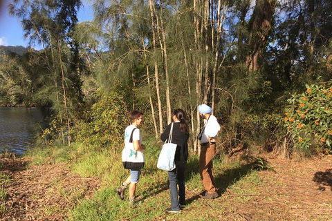 Fishermans Paradise Eco-walk - Tourism Cairns 1