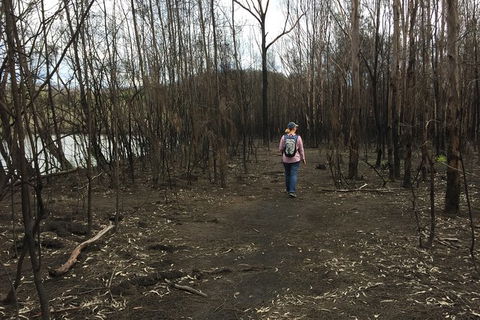 Fishermans Paradise Eco-walk - Tourism Cairns 5