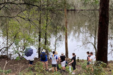 Fishermans Paradise Eco-walk - Tourism Cairns 2