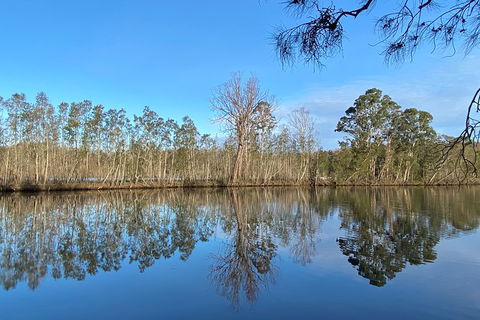 Fishermans Paradise Eco-walk - Tourism Cairns 4