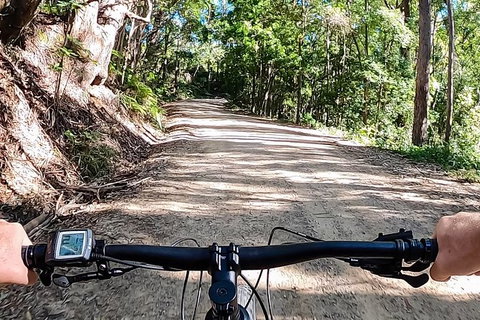 Guided E Bike Tour - Lush Hinterland & Secret Beaches - Tourism Cairns 12