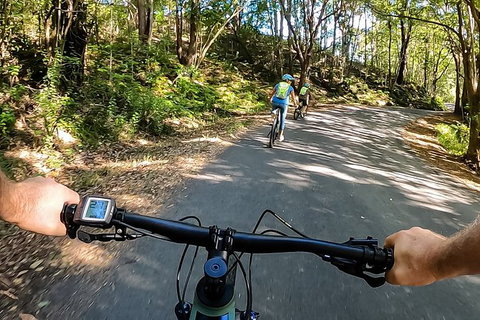 Guided E Bike Tour - Lush Hinterland & Secret Beaches - Tourism Cairns 9