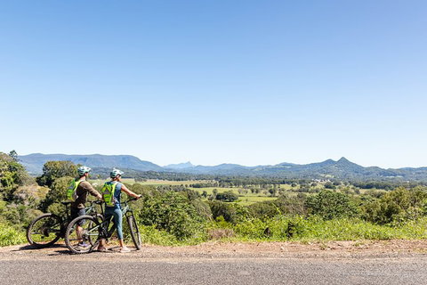 Guided E Bike Tour - Lush Hinterland & Secret Beaches - Tourism Cairns 7