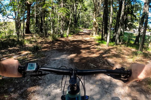 Guided E Bike Tour - Lush Hinterland & Secret Beaches - Tourism Cairns 11